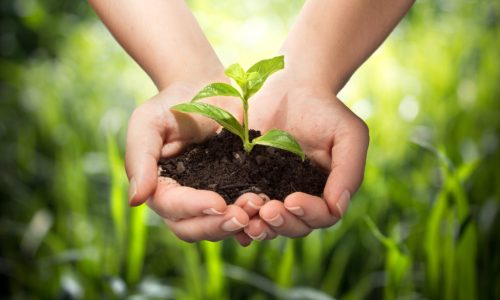 Environmental Education